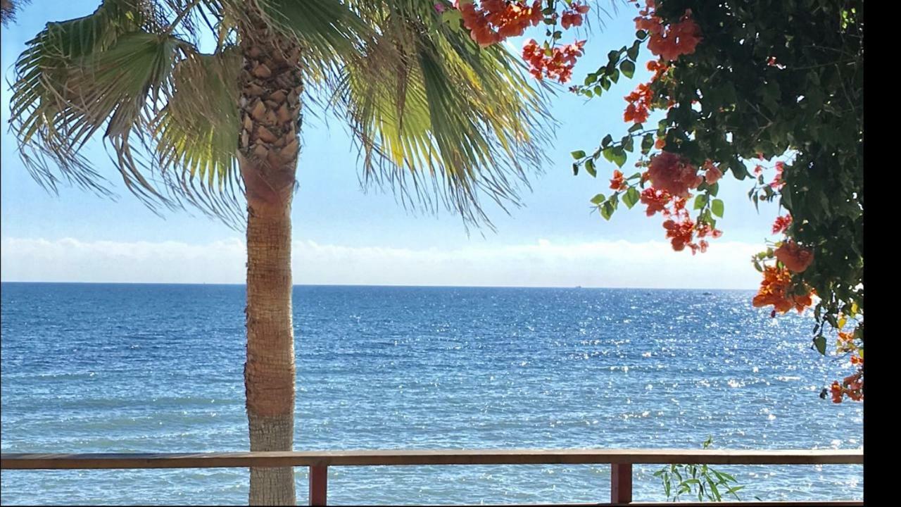 Mi Capricho C16 Beachfront Apartment Sitio de Calahonda Exterior photo